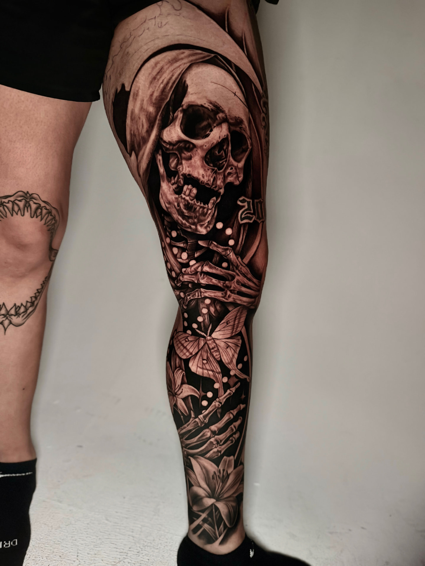 Reaper & Moth